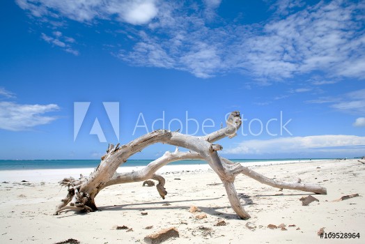 Picture of Diani Beach Mombasa